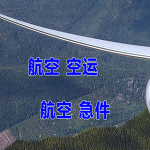 株洲芦淞机场物流快递-选东方航空和上海航空