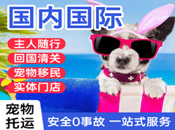 株洲芦淞机场物流国际宠物托运 【国